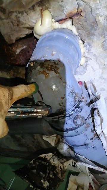 и всё таки мы её нашли