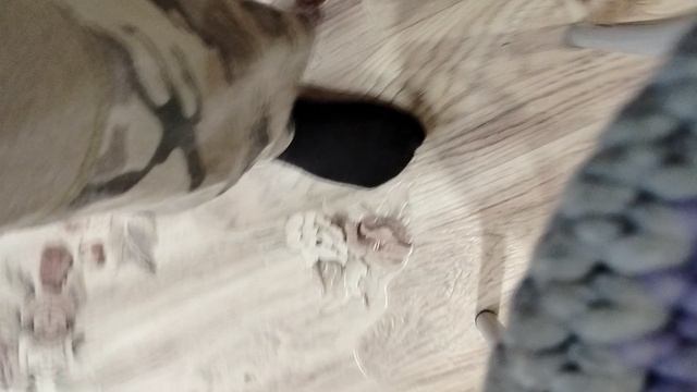 нарисовал димку