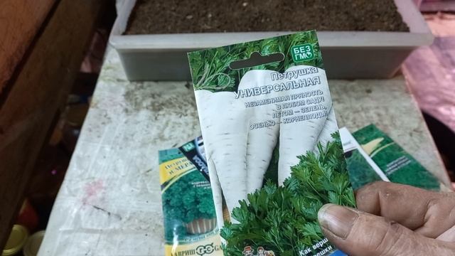 ГОТОВИМ НОВЫЕ СОРТА ЗЕЛЕНИ К ПОСАДКИ.