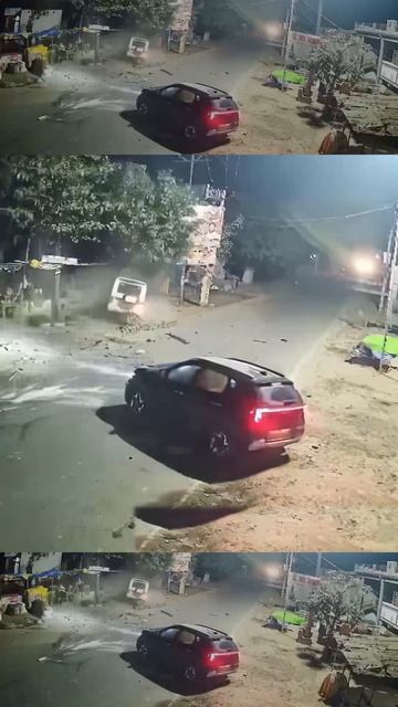 Виновато дерево?