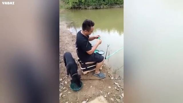 Попробуй не рассмеяться 🤣