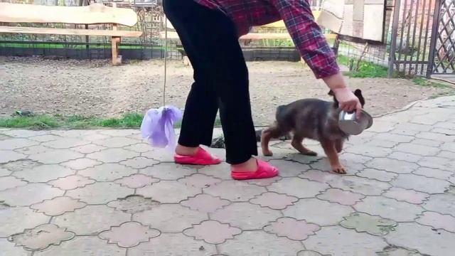 Баларис УРСУС, 2 месяца 10 дней