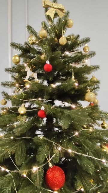 Новогодняя красавица в Центре Московского долголетия «Северный»