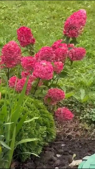 1000223871.Дивное Дивеево.Слово о.Артемия Владимирова.22.08.25.г 17.21 м