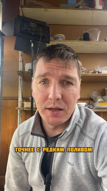 Такого ты не видел