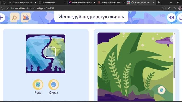 Наука вокруг нас. Решение карточки Учи ру