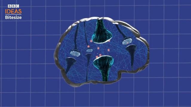 How to make better decisions _ 3 quick tips _ BBC Ideas