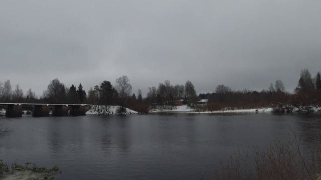 Налим на реке Мста