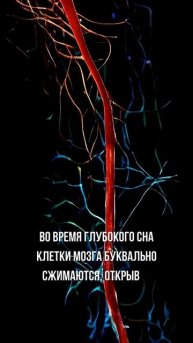 #наукапамяти Ваша подушка — это центр детоксикации #какулучшитьпамять #психология