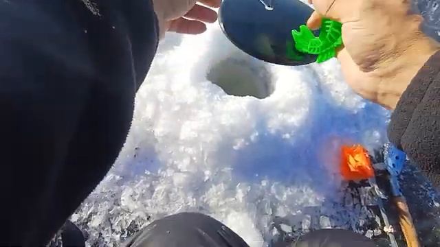 Зимняя рыбалка на Аргуни.