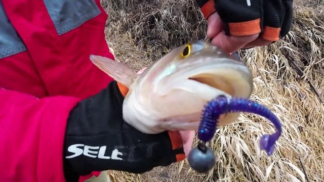 Анонс следующего видео1