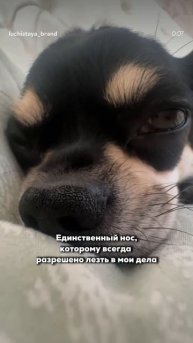 ТГК - Канал Лучистой