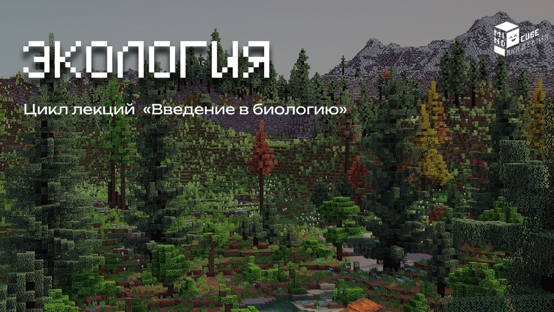 Экология: как работает природа | Лекция по биологии в Minecraft | MindCube Академия