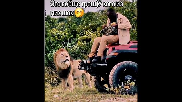 Ржач до слез! Комментарии наше все! Подборка приколов