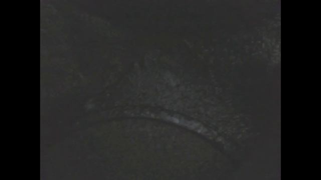 Ремонт Ларгуса. Неправильный диагноз. Часть 1.