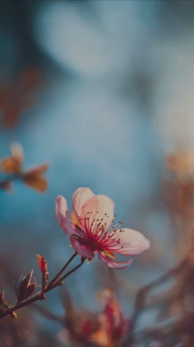 Как плавно падал твой платок