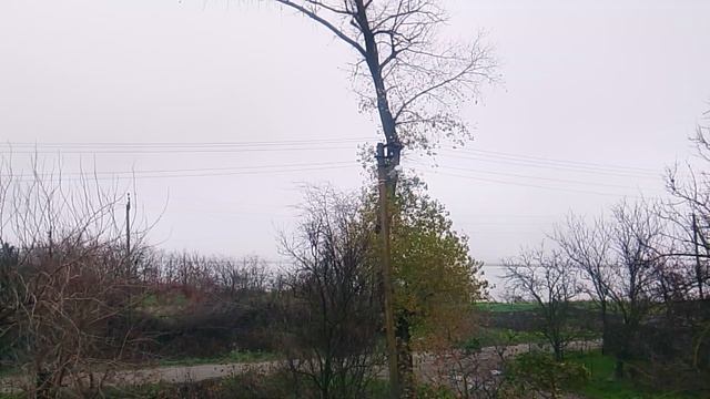 Утро третий день декабря 2025