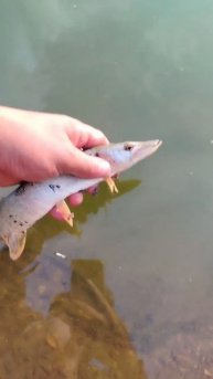 рыбалка барнаул Новоалтайск