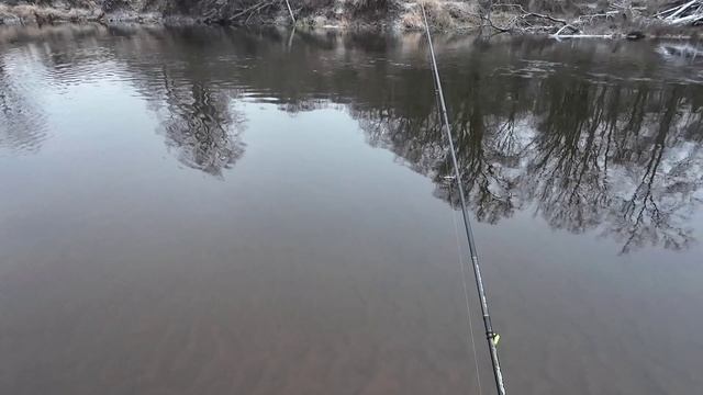 Голавль в Декабре!