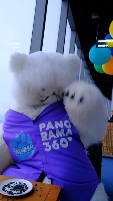 ЗА СОБОЙ НУЖНО УБИРАТЬ :)