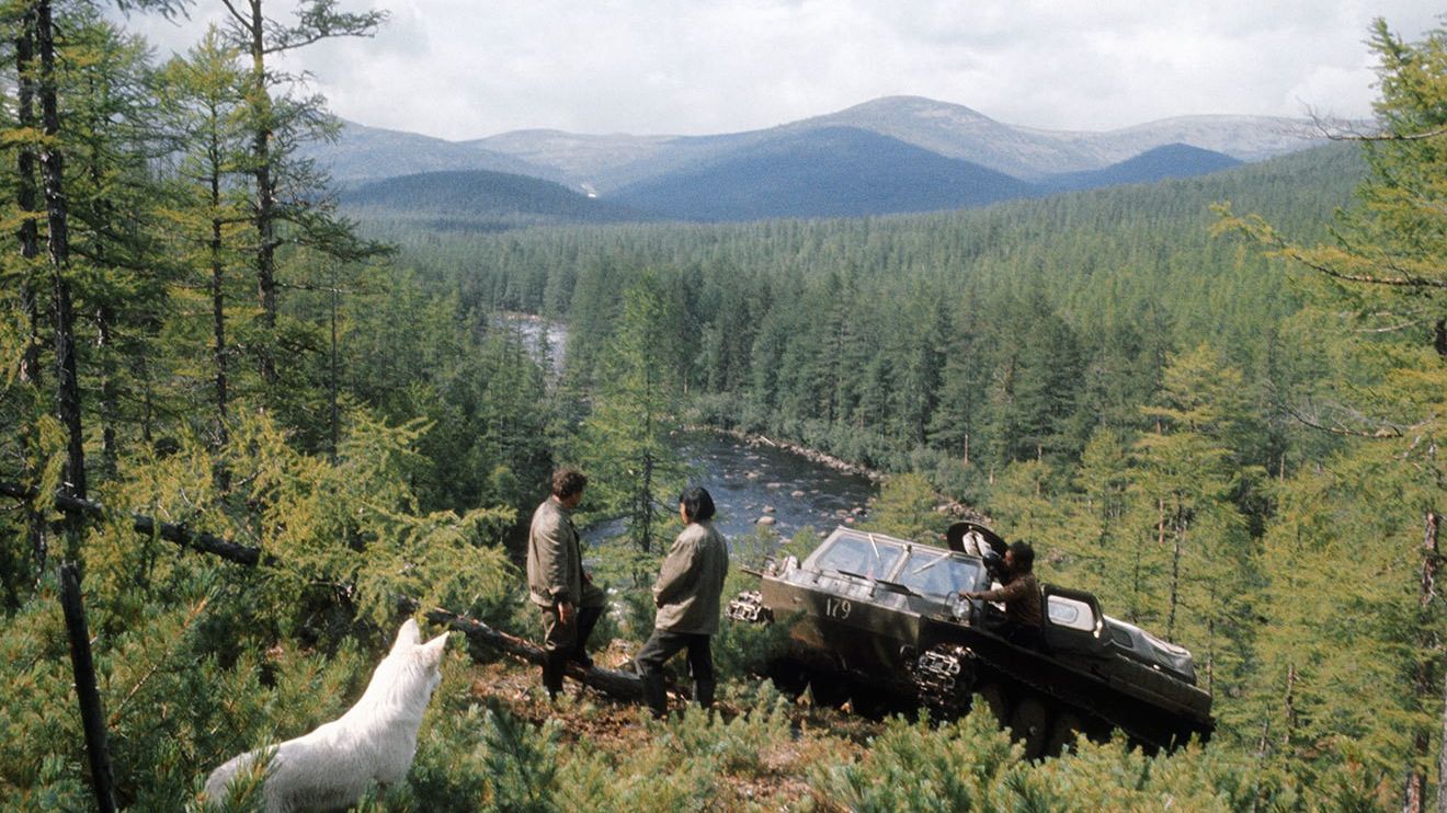 ТАЙГА- Кто Там Живёт. Таёжные Истории.