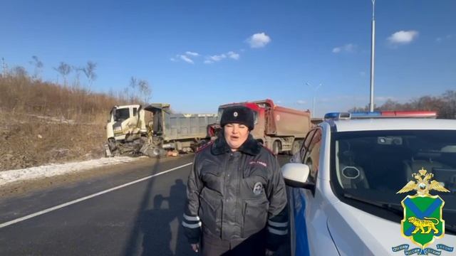 Полиция устанавливает обстоятельства смертельного ДТП в Надеждинском районе Приморья