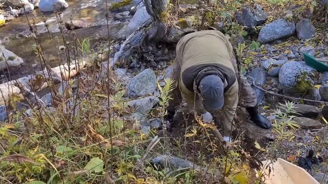 За золотыми самородками в тайгу