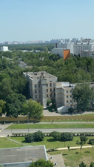 в гостях у тёти