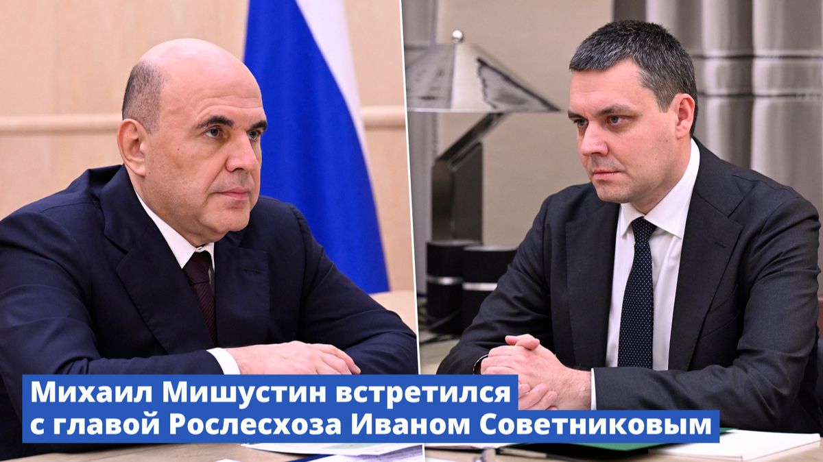 Глава Рослесхоза  доложил Председателю Правительства России об итогах работы в 2025 году