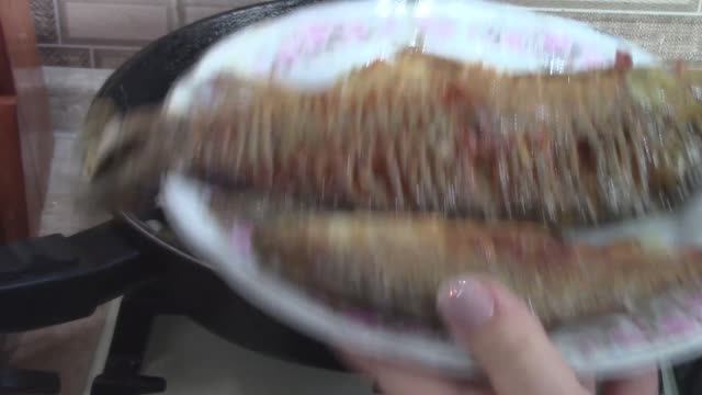 Эх, рыбалка!