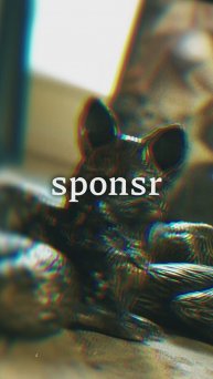 Путь, который не каждый смог пройти🦊💪 #награды #sponsr