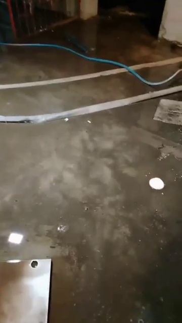 Эстонская, 37/12