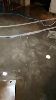 Эстонская, 37/12