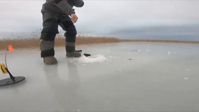 БЕШЕННЫЙ КЛЁВ!!! 2025-2026