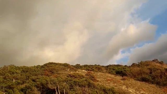 Летний сезон 2024 Анапа-Эльбрус-Сочи. Наталья Серая