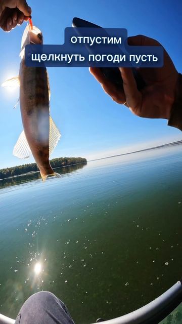 не карась☝️#рыбалка #щука