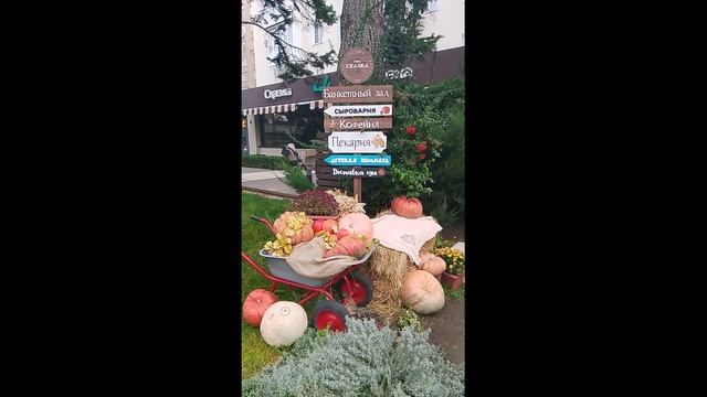 Анапа прогулка 30 ноября 2025