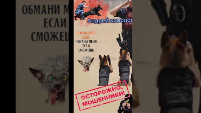 НФС,МФЦ,поликлиника и ПМС