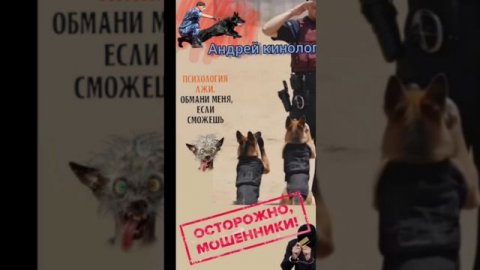 НФС,МФЦ,поликлиника и ПМС