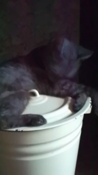 VID_20251204_114154.mp4