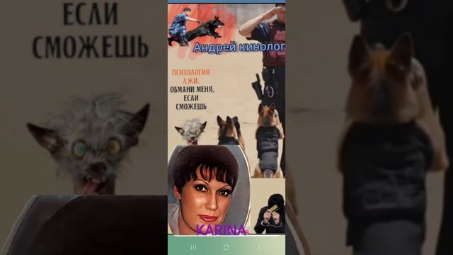 Жизненно не пожизненно