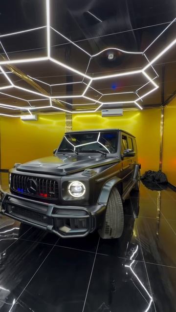 Птичка весом в несколько тон G 63 в клетке у меня