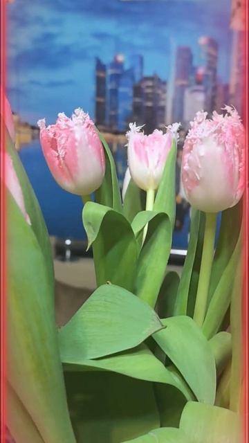 цветочки 💐