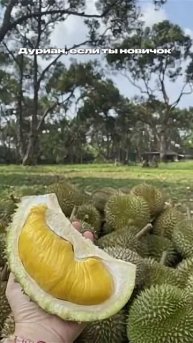Есть любители дуриана?😋
