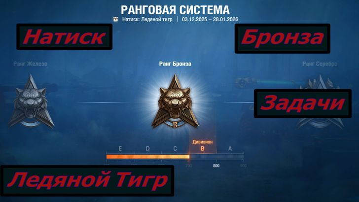 Натиск Ледяной Тигр Бронза Задачи