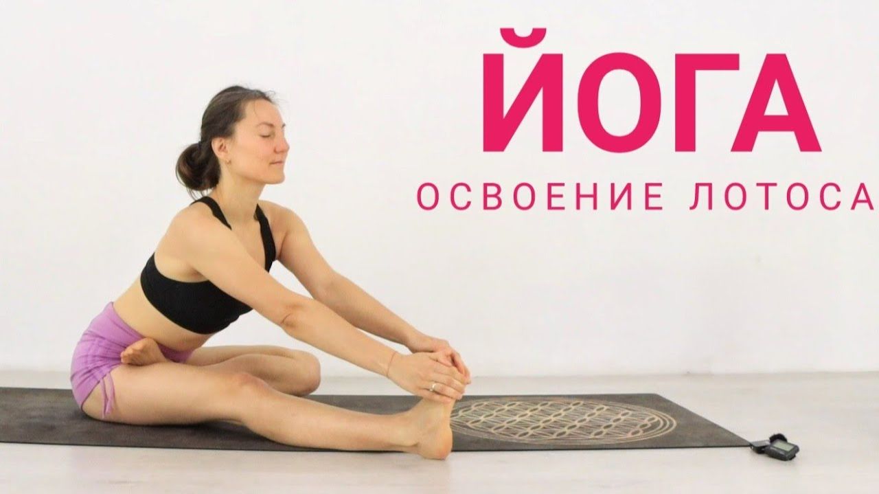 ПОЗА ЛОТОСА — освоение Падмасаны. Раскрытие таза. Йога chilelavida Елена Малова