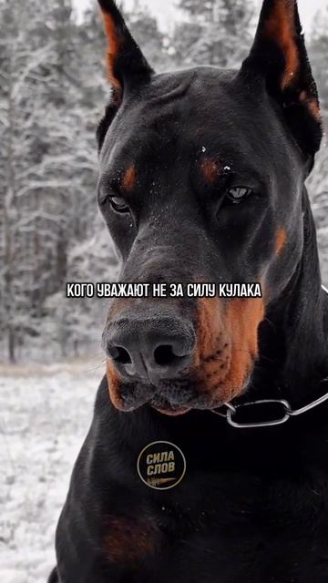 Ты должен быть сильным