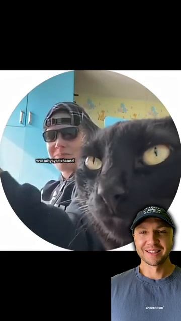 «Пацан Везет Яблоки В Германию С Котом»