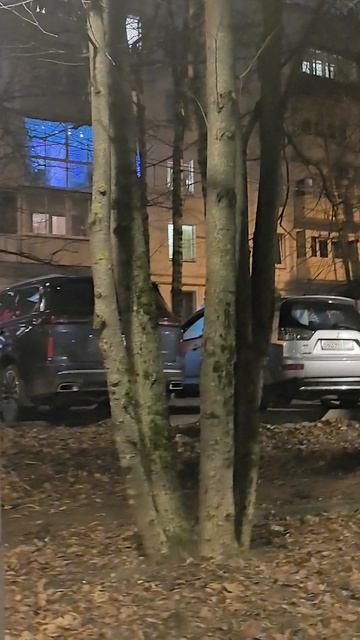 красота вечером