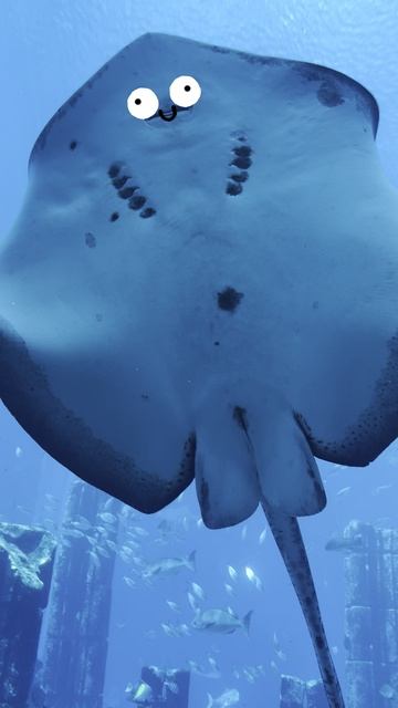 Улыбнись скату!